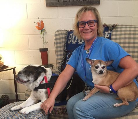 Therapy dogs and their positive effects on students’ well-being