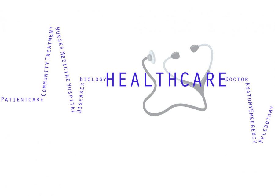 The+world+of+healthcare.++Healthcare+is+diverse+field+that+consists+of+different+jobs+and+opportunities+for+many+people.+Students+in+Forsyth+County+have+seen+other+high+schools+with+a+healthcare+pathway%3B+yet%2C+many+have+not+realized+that+South+Forsyth+High+School+created+a+path+of+its+own+for+healthcare+students.