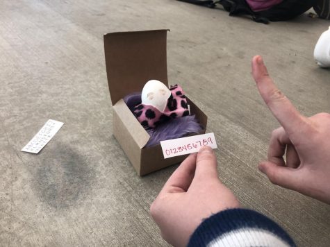 Cracking parenting: AP Psych students raise “egg” babies