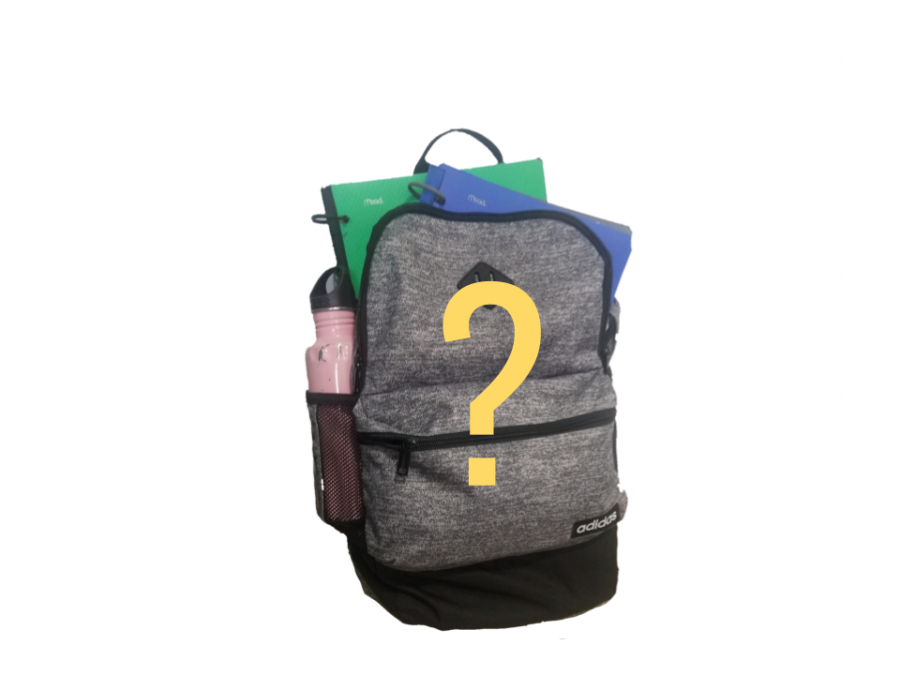 Organizational backpack discount