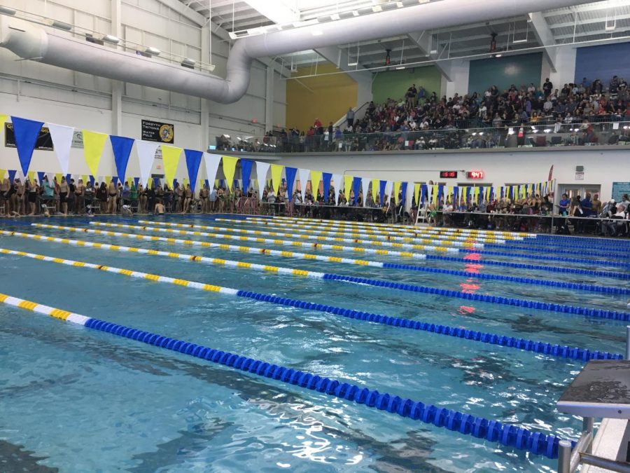 Moving+waters.+South+Forsyth+swimmers+swiftly+swam+to+the+wall+earning+many+state+qualifying+cuts.+The+meet+prepares+incoming+swimmers+for+the+competitive+atmosphere+of+swim+and+dive.++