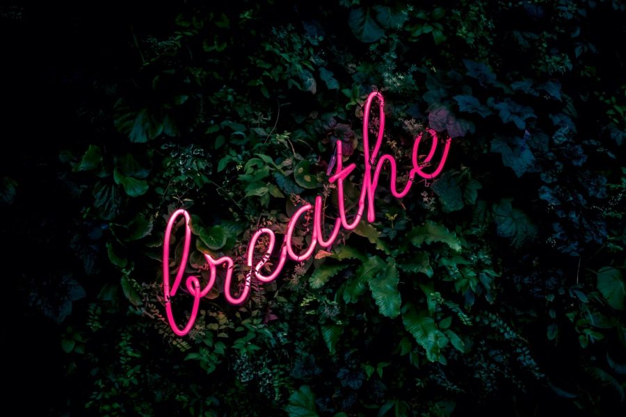 A peace of mind. With many different things changing around an individual, it is important to take a moment to decompress if feeling overwhelmed. Taking care of ones body and mind is the key to being happy and healthy.