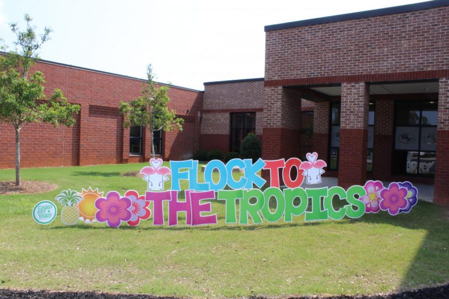 Flock to the tropics! South Forsyth greets both returning and new faculty and students with a tropical-themed campus. The staff sprawled blue flamingoes all around the front of the main hall to accompany their Hawaiian theme. 