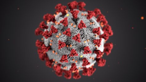Coronavirus. This picture portrays a microscopic version of COVID-19. On March 4th, 2020, the CDC created an illustration of the virus severe acute respiratory syndrome (SARS) as they displayed the spike-like proteins found within the virus.