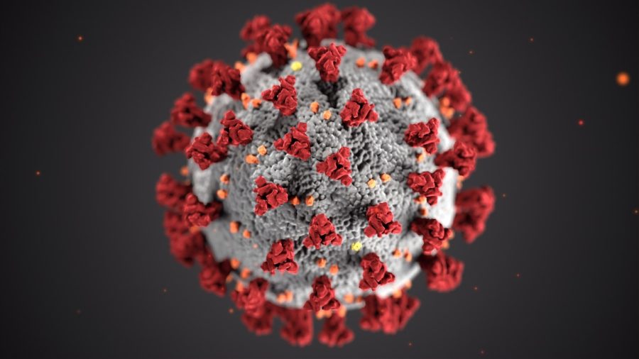 Coronavirus.+This+picture+portrays+a+microscopic+version+of+COVID-19.+On+March+4th%2C+2020%2C+the+CDC+created+an+illustration+of+the+virus+severe+acute+respiratory+syndrome+%28SARS%29+as+they+displayed+the+spike-like+proteins+found+within+the+virus.