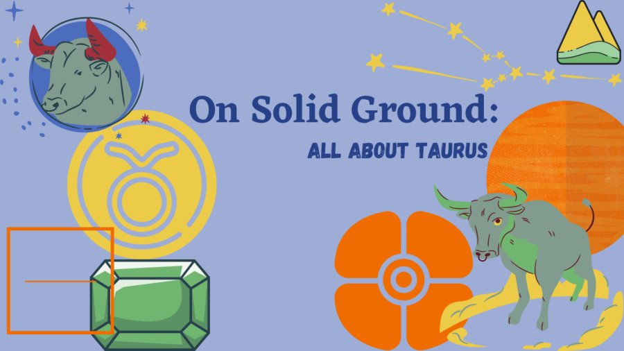 On Solid Ground: All About Taurus