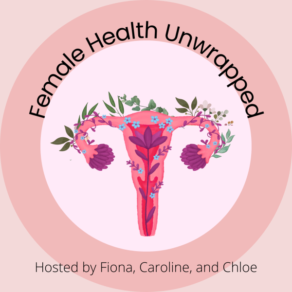 Researchers at various medical institutions have recently published data indicating that many period products contain harmful chemicals that can negatively impact female health. (The Bird Feed / Canva)