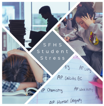 Collective photography art demonstrating the stress of SFHS's students.
